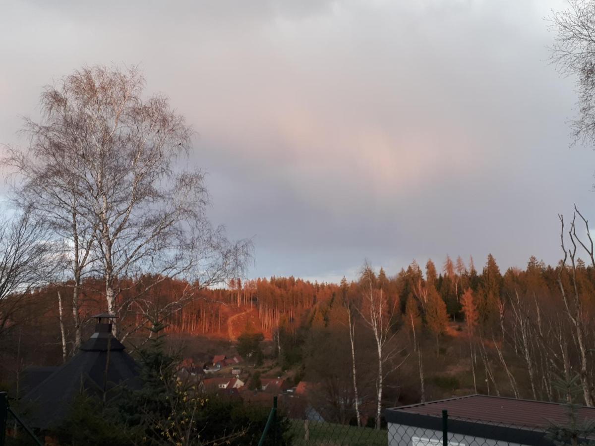 Behagliches Ferienhaus Zaunkoenig -Mit Kamin Und Sauna タンネ エクステリア 写真