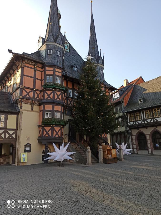 Behagliches Ferienhaus Zaunkoenig -Mit Kamin Und Sauna タンネ エクステリア 写真