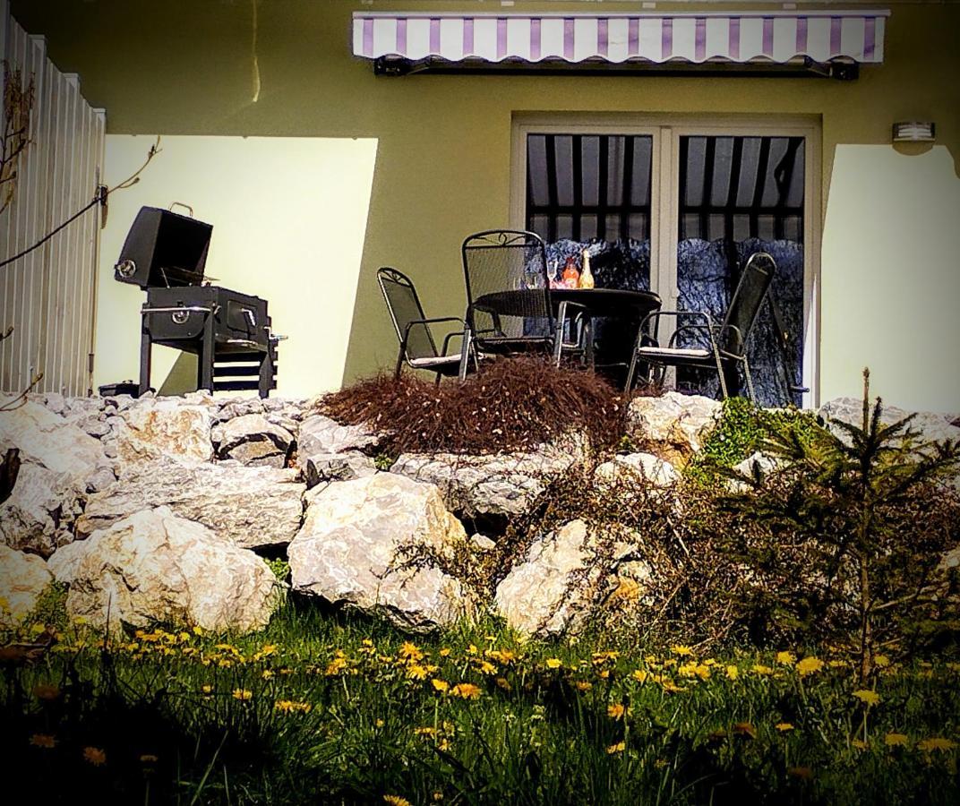 Behagliches Ferienhaus Zaunkoenig -Mit Kamin Und Sauna タンネ エクステリア 写真