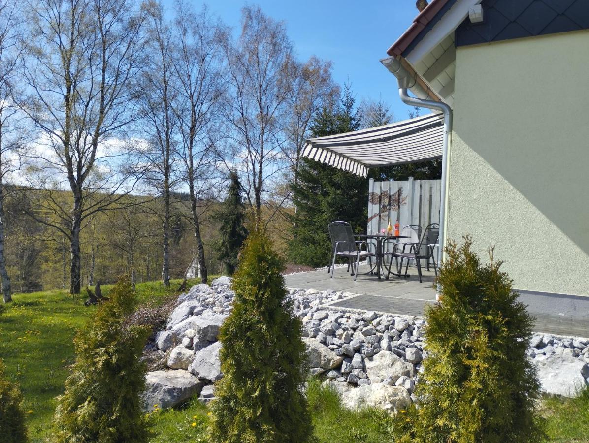 Behagliches Ferienhaus Zaunkoenig -Mit Kamin Und Sauna タンネ エクステリア 写真
